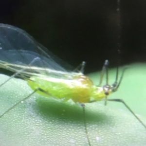 Meet your Posher, Rhianna